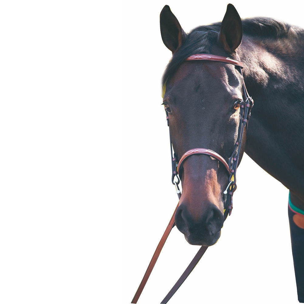 Henri de Rivel Advantage Fancy Raised Snaffle Bridle With Laced Reins - Breeches.com