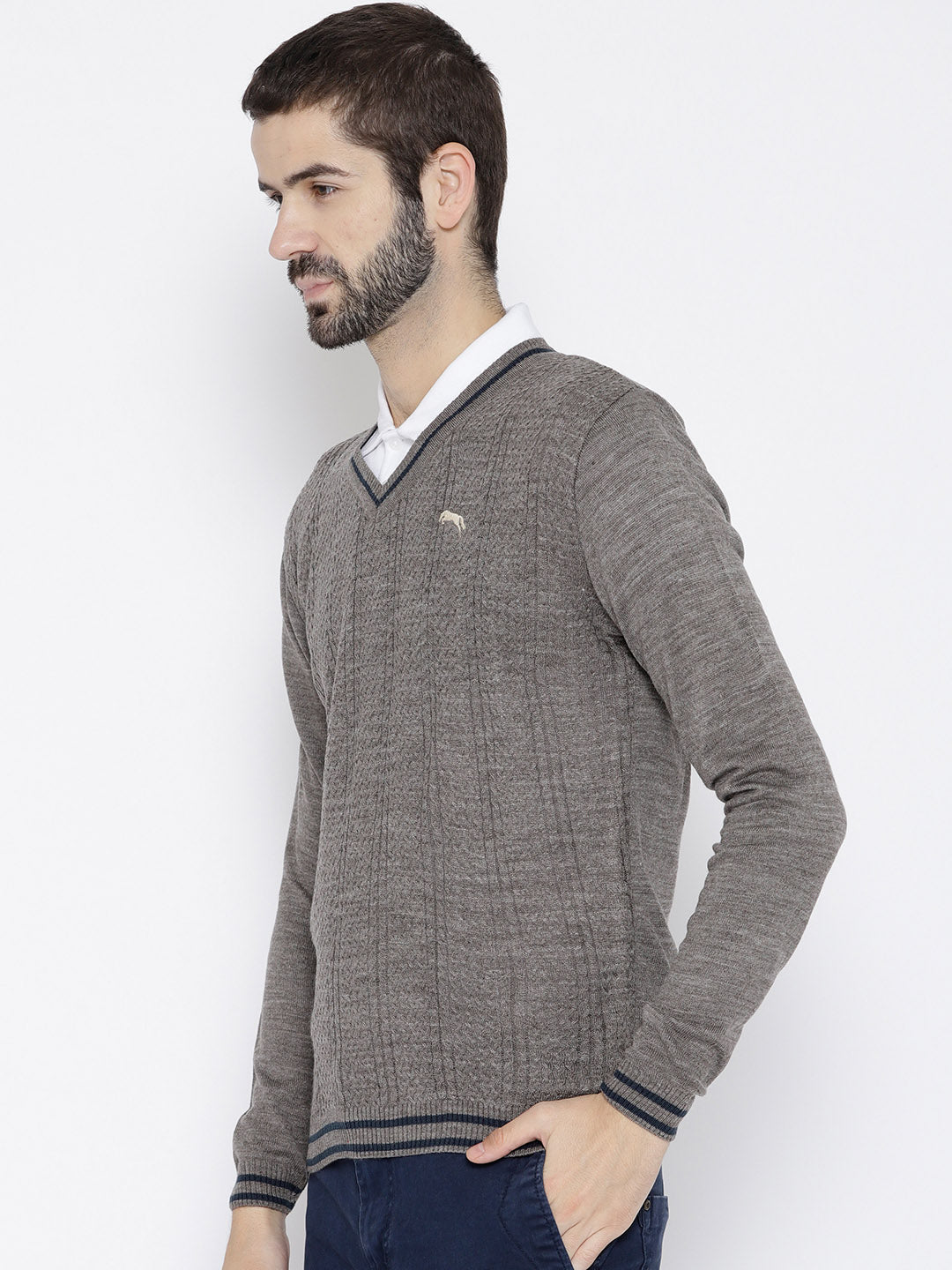 Men Beige self Design Pullover - JUMP USA