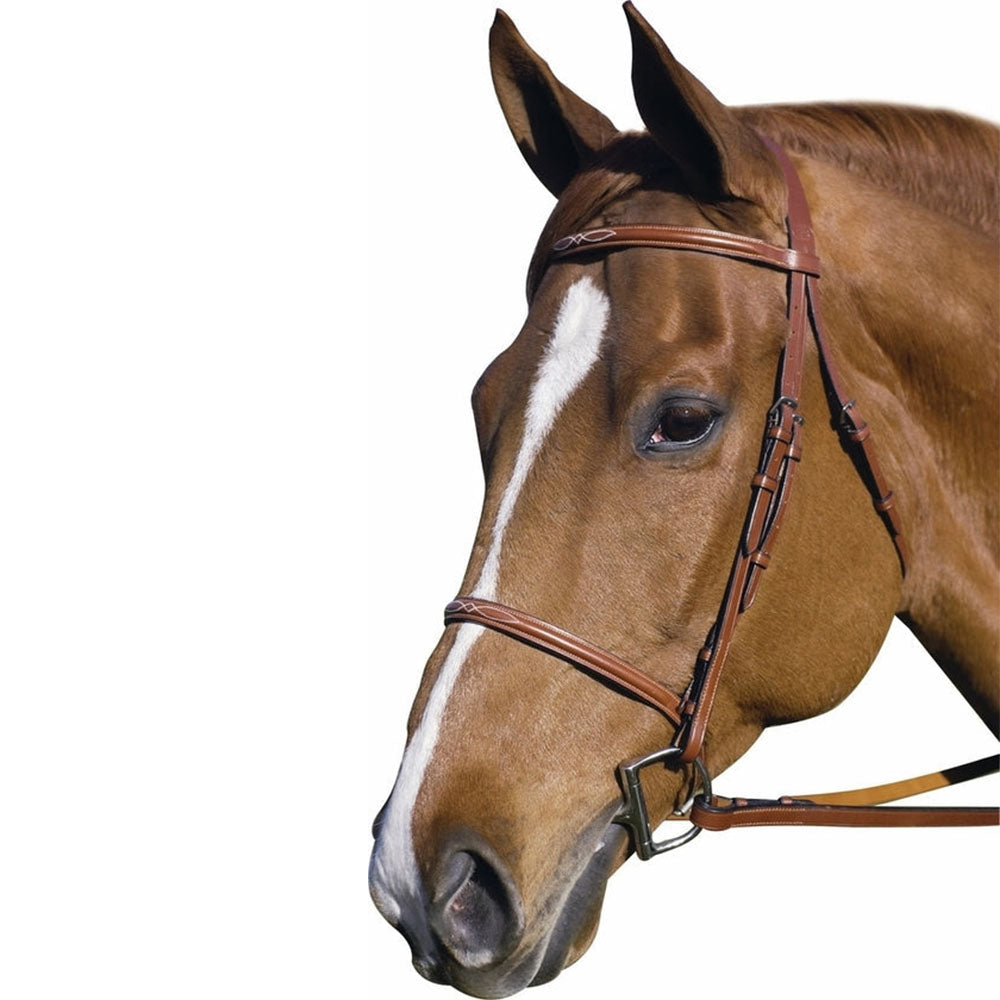 Henri de Rivel Pro Fancy Raised Bridle With Laced Reins - Breeches.com