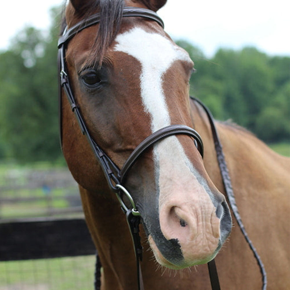 Henri de Rivel Pro Fancy Raised Bridle With Laced Reins - Breeches.com