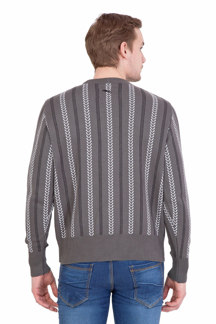 Men Full Sleeve Cotton Sweater - JUMP USA (1568782254122)
