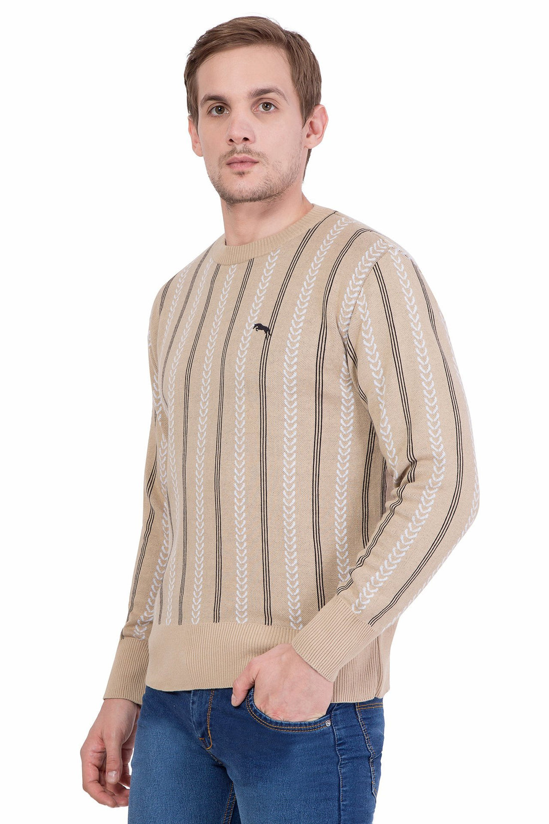 Men Full Sleeve Cotton Sweater - JUMP USA (1568782319658)