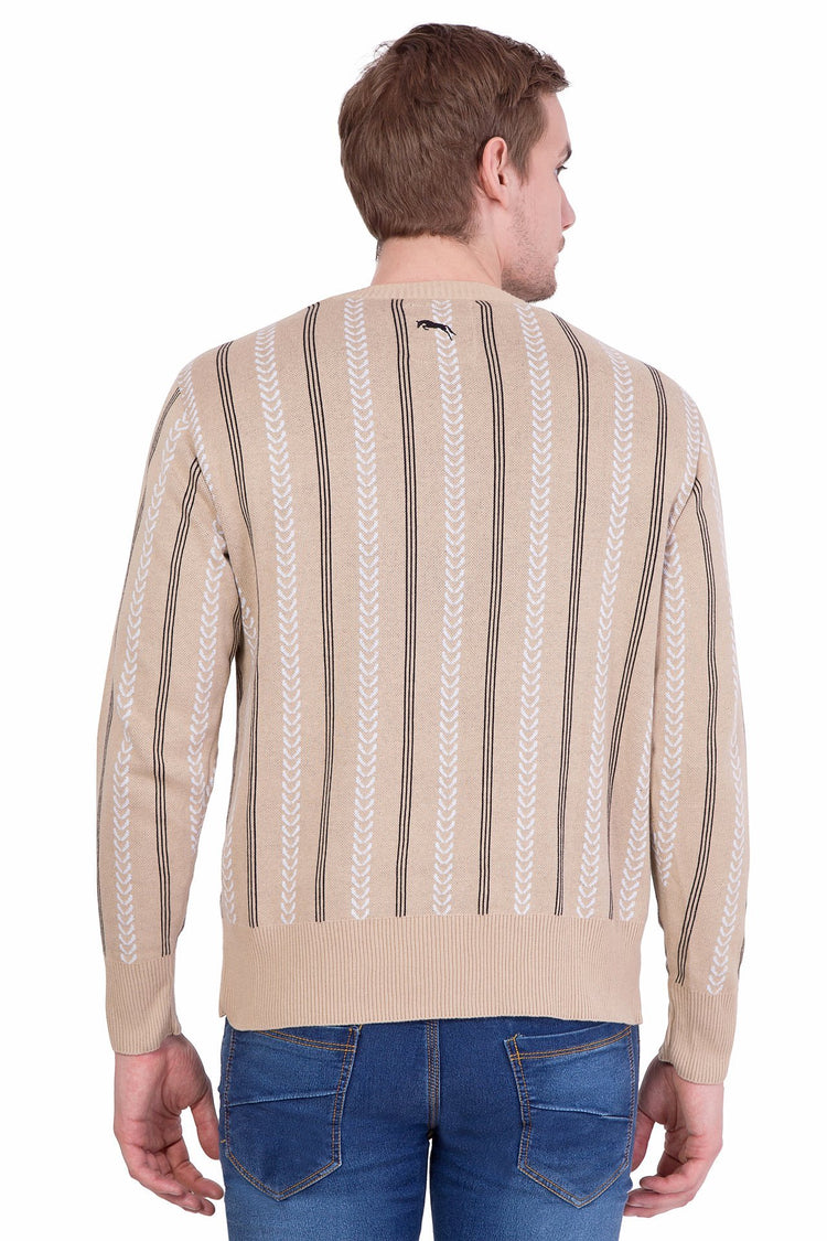 Men Full Sleeve Cotton Sweater - JUMP USA (1568782319658)