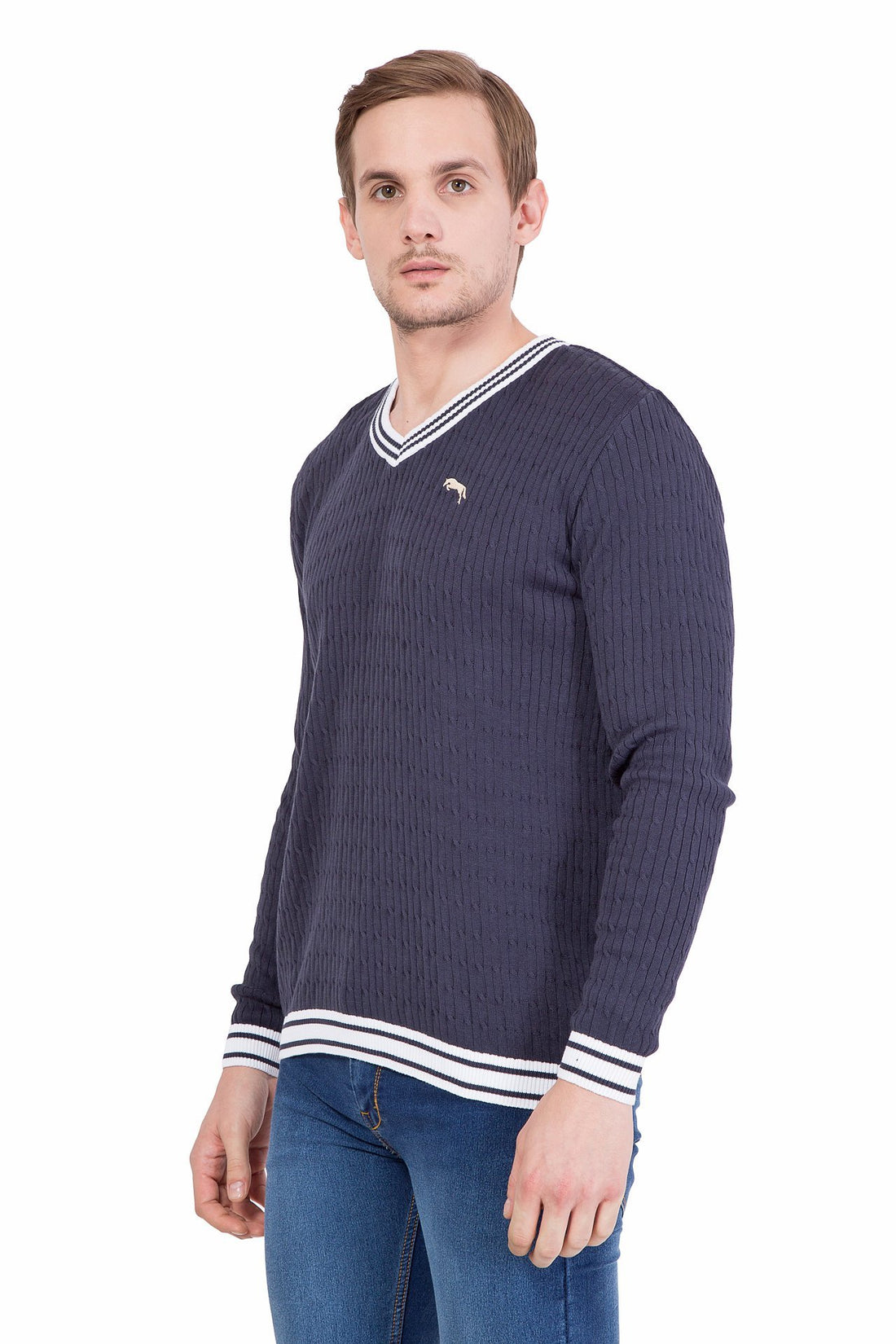 Men Full Sleeve Sweater - JUMP USA (1568784318506)
